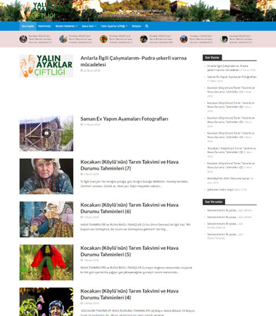 Yalin-Ayaklar-Ciftligi